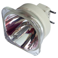 BENQ 5J.J8C05.001 Lampa fără modul