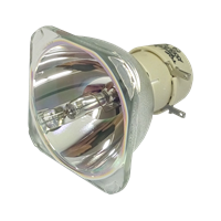 BENQ 5J.JCV05.001 Lampa fără modul