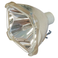 CANON LV-LP05 (4638A001AA) Lampa fără modul