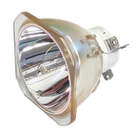 NEC NP-PA521U Lampa fără modul