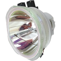 PANASONIC PT-DZ870ELWJ (portrait) Lampa fără modul